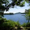Pitcher Pond View
