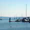 Belfast Harbor