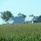 Barn