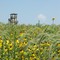 prairie tower WCCB