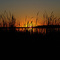Sunset in Ventura