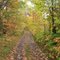 Nice Fall View