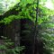 Adventure Mine #3 shafthouse foundation