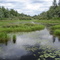 Leveque Creek