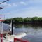 Mississippi River banks from Casville Car Ferry, one of the few remaining ferries.