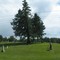 Cemetery near Tiffin