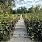 Kent Park Trail Pedestrian Bridge