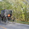 Amish