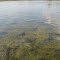 Lake Sixteen