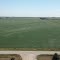 Mason City, IA Bean Fields