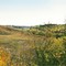 Prairie Colors