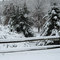 Late spring ice storm/blizzard
