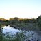 Banner Lake 12