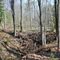 Beaver Dam