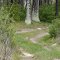 Two Track in the Hardwoods