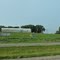 Tractor Show at Exit 117