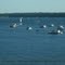 Saylorville lake marina IA