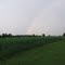 Backyard Rainbow