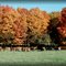 Fall on the farm