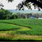 iowa