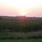 Sunset in IOWA 7/08