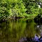 Otter Creek, below the dam at Oelwein