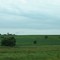 Old windmill near 630th