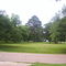 My neighborhood