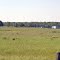 this setting accurately reflects much of chippewa county,MI