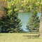Badger Lake