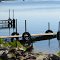 Goose family on Lake Ogemaw