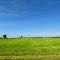 You never miss this kind of beautiful view in West Branch