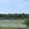 All about the nature of Prior Lake