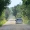 A dirt road in Rifle River State Recreation Area