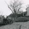 My Father Plowing Garden With Mules 1952