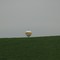 Lawton tower over the hill