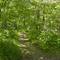 Trail Head at Woodland Mounds Preserve