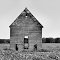 Iowa cornfield