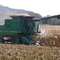 Fall Harvest @ Mondamin