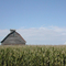 webster city