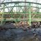 Foot bridge at the Spirit Lake Fish Hatchery