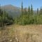 View across the Nabesna Road from our trailhead
