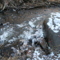 Carp River