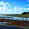 Seagrass Beds Kameri