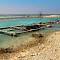 View of Coral Reef Plantation