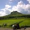 Pontang - Ambulu - Jember