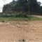 gurimbang