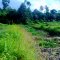 SUKAN, Sambaliung, Berau