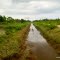 SUKAN, Sambaliung, Berau