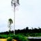 SUKAN, Sambaliung, Berau